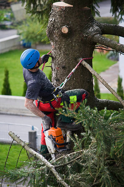 Mulching Services in Evansburg, PA